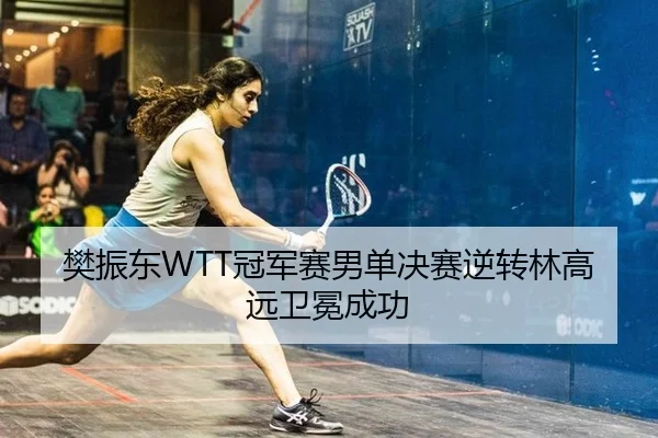樊振东WTT冠军赛男单决赛逆转林高远卫冕成功
